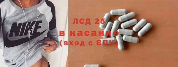 сатива Ростов