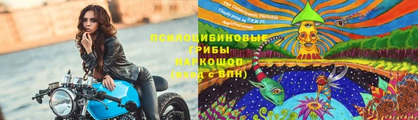 шишки Армянск