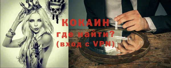 сатива Ростов